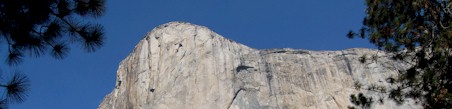 Yosemite tours